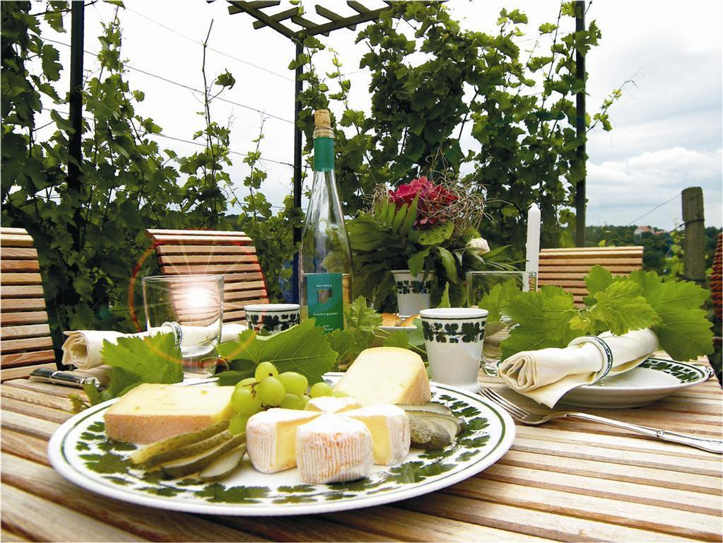 Apartmán Weingut Mariaberg Meißen Exteriér fotografie
