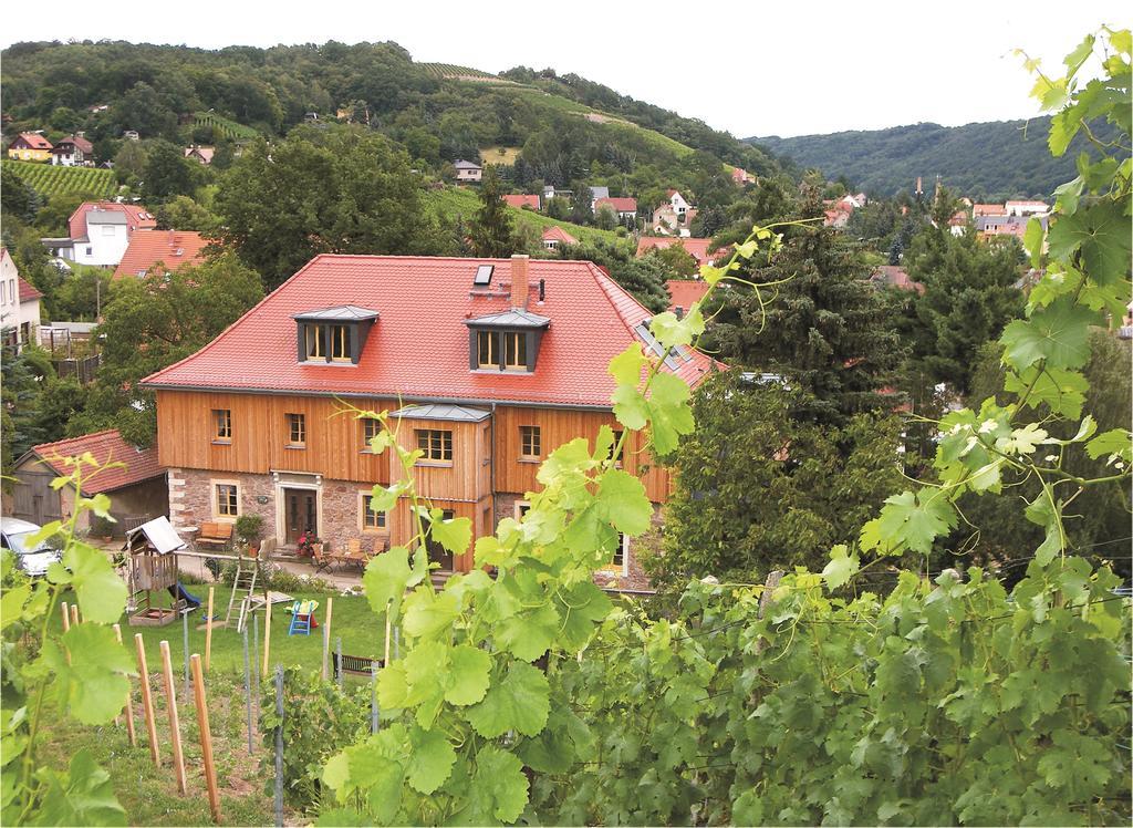 Apartmán Weingut Mariaberg Meißen Exteriér fotografie