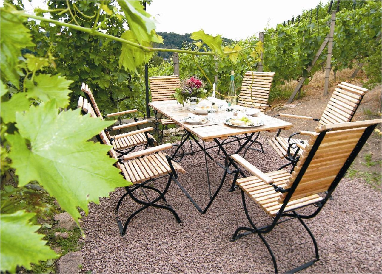Apartmán Weingut Mariaberg Meißen Exteriér fotografie